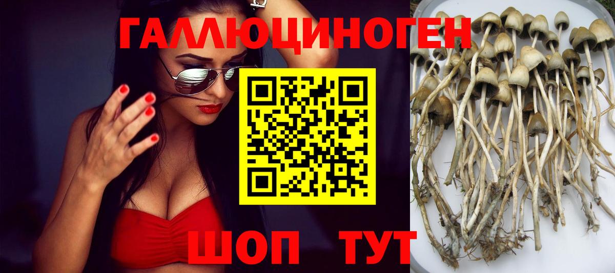 Псилоцибиновые грибы Magic Shrooms  Вход с VPN  Россошь  Псилоцибиновые грибы мицелий 